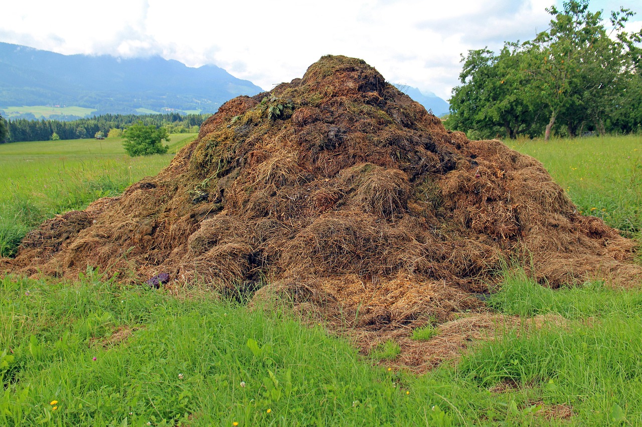 Compost, Leaf Mold, and Mulch: Feeding Your Soil Without a Chemistry Set